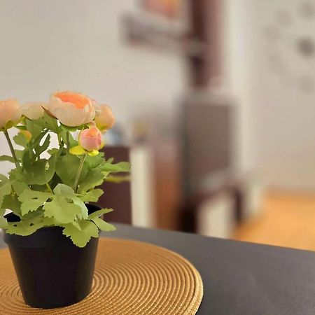 Apartament Confort Hd フネドアラ エクステリア 写真