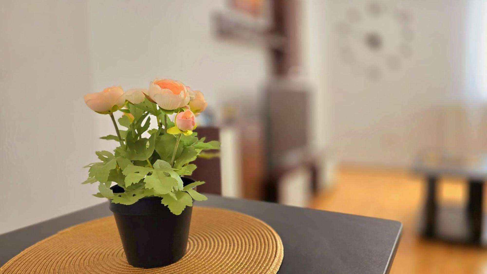 Apartament Confort Hd フネドアラ エクステリア 写真